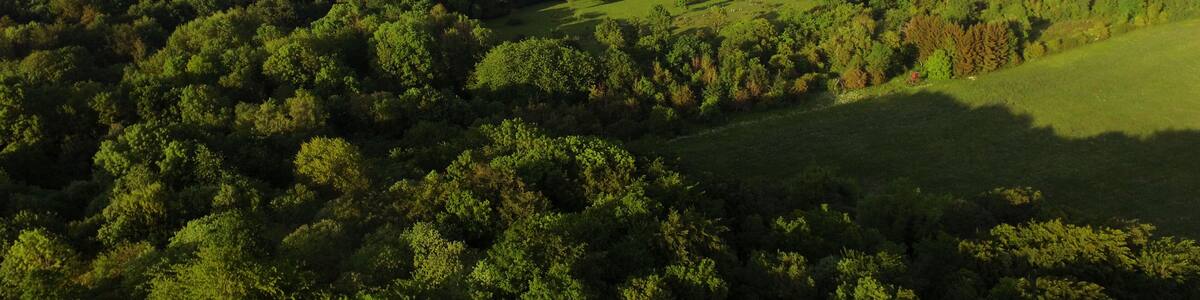 Trierː Naturschutzgebiet Gillenbachtal - Im Hintergrund die Straße nach Aach (links) und das Berghotel Kockelsberg (rechts)
