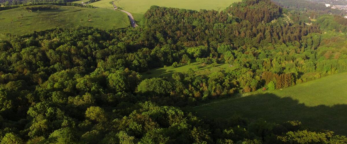Trierː Naturschutzgebiet Gillenbachtal - Im Hintergrund die Straße nach Aach (links) und das Berghotel Kockelsberg (rechts)