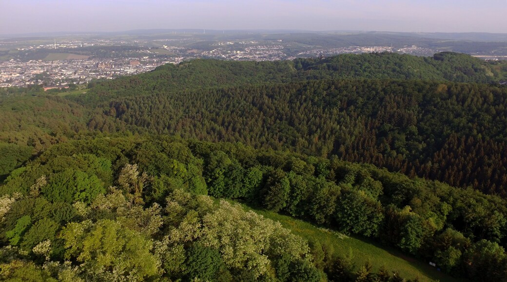 Trier Naturschutzgebiet Gillenbachtal - Blick auf den letzten Hügel vor Trier mit der Mariensäule (Bildmitte) und dem Markusberg (rechts) - im Hintergrund die Stadt Trier