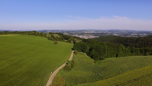 Gillenbachtal von oben, das NSG ist der Wald links vom Weg