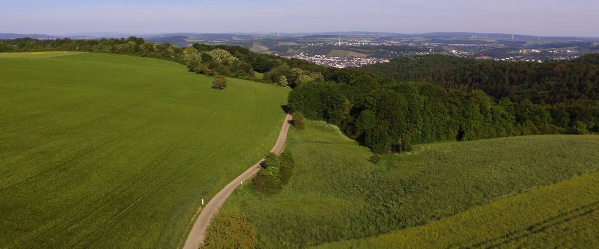 A rural landscape with a winding road, green fields, and a distant town.