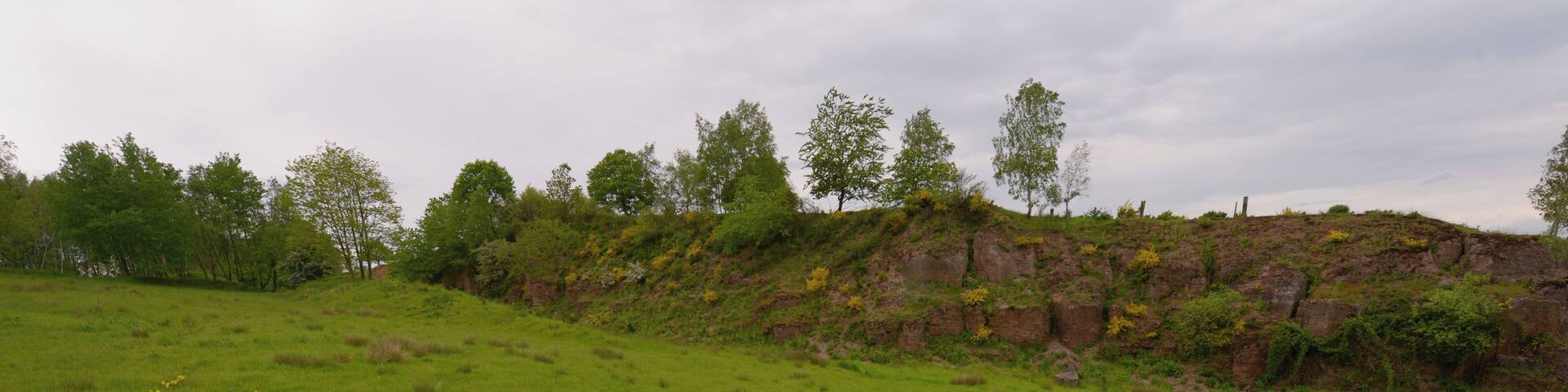 Westliche Grenze der ehemaligen Kiesgrube Hirzweiler (Ortsteil von Illingen) im Naturschutzgebiet "Täler der Ill und ihrer Nebenbäche".