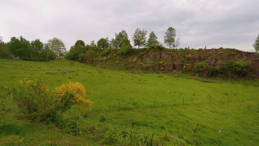Westliche Grenze der ehemaligen Kiesgrube Hirzweiler (Ortsteil von Illingen) im Naturschutzgebiet "Täler der Ill und ihrer Nebenbäche".