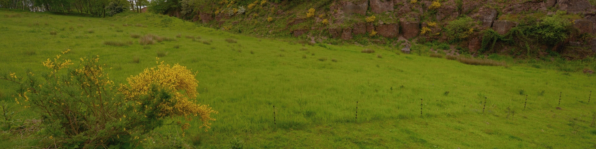 Westliche Grenze der ehemaligen Kiesgrube Hirzweiler (Ortsteil von Illingen) im Naturschutzgebiet "TÀler der Ill und ihrer NebenbÀche".