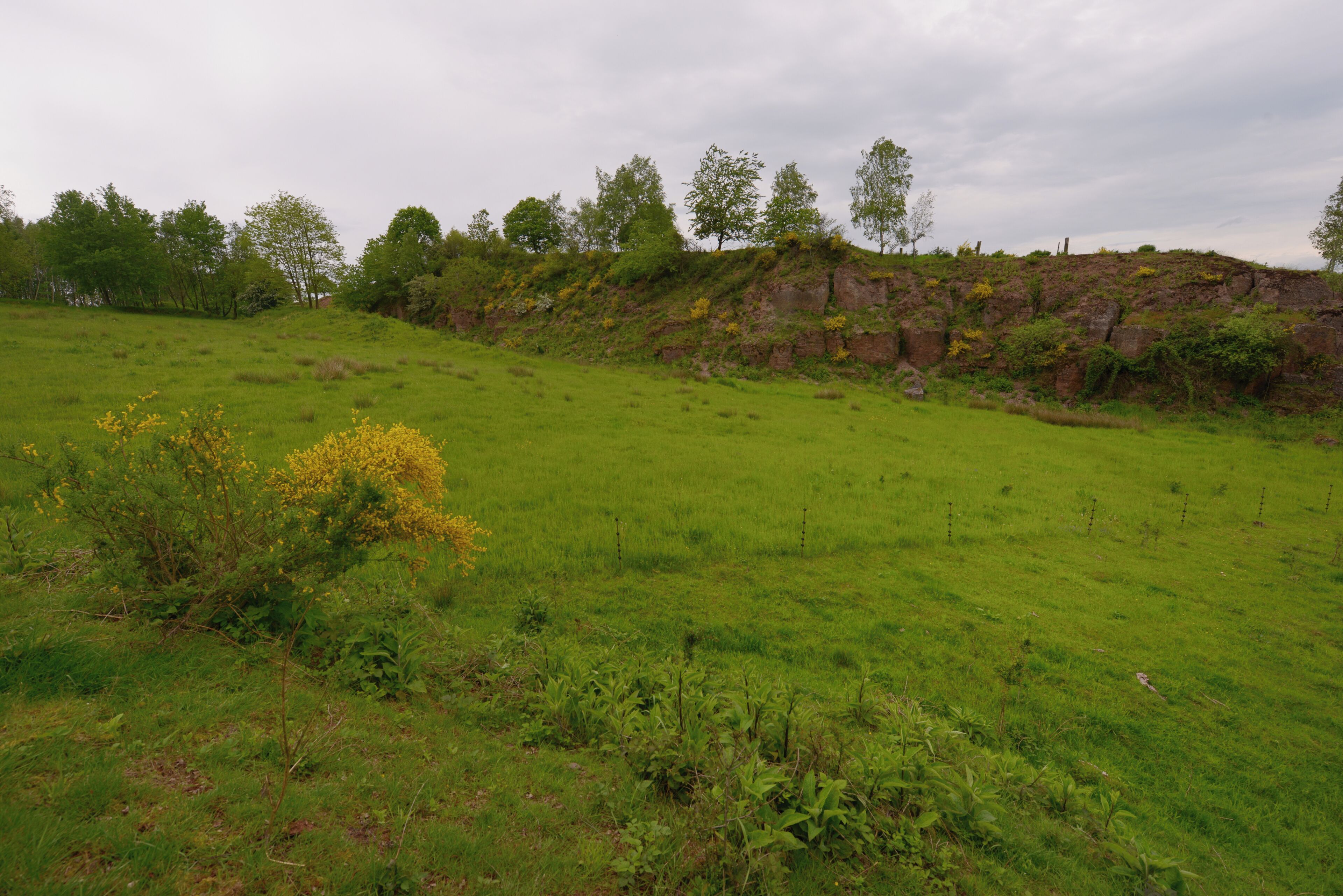A grassy field with a rocky hill in the background.