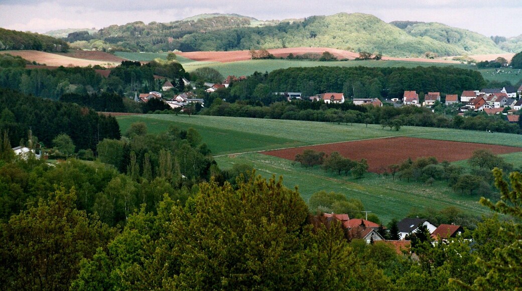 View from the Liebenburg to Furschweiler