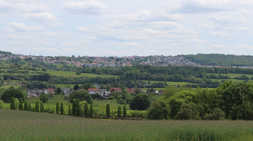 Mangelhausen (Wiesbach), view to Holz