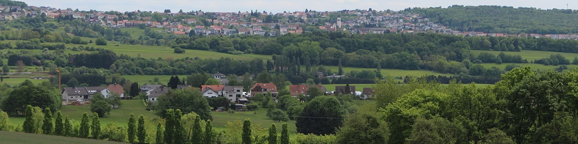 Mangelhausen (Wiesbach), view to Holz