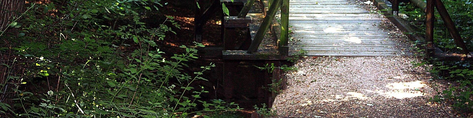 Riegelsberg, trail in the Fronwald