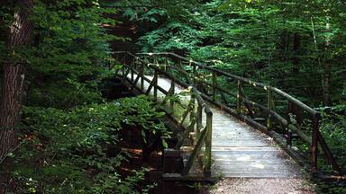 Riegelsberg, trail in the Fronwald