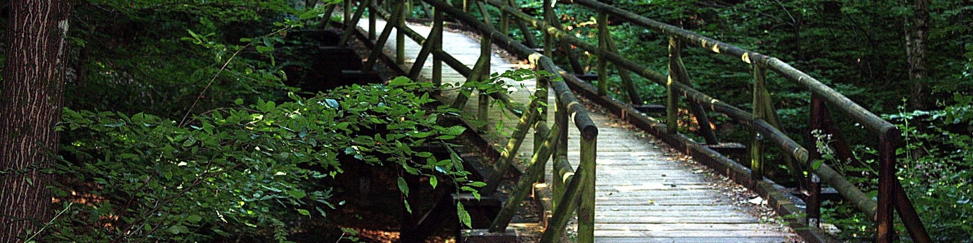 Riegelsberg, trail in the Fronwald
