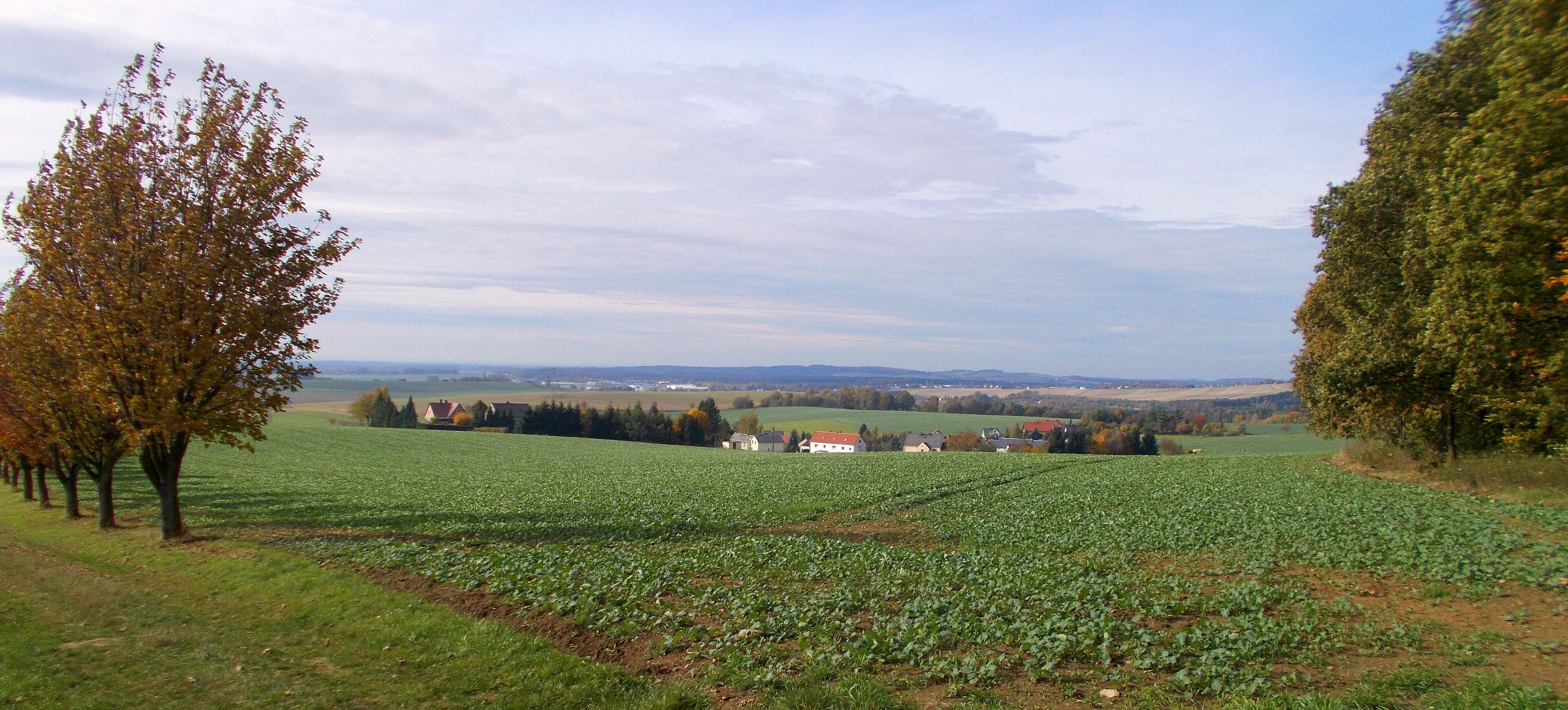 A rural landscape with a field of crops, a row of trees, and a distant village.