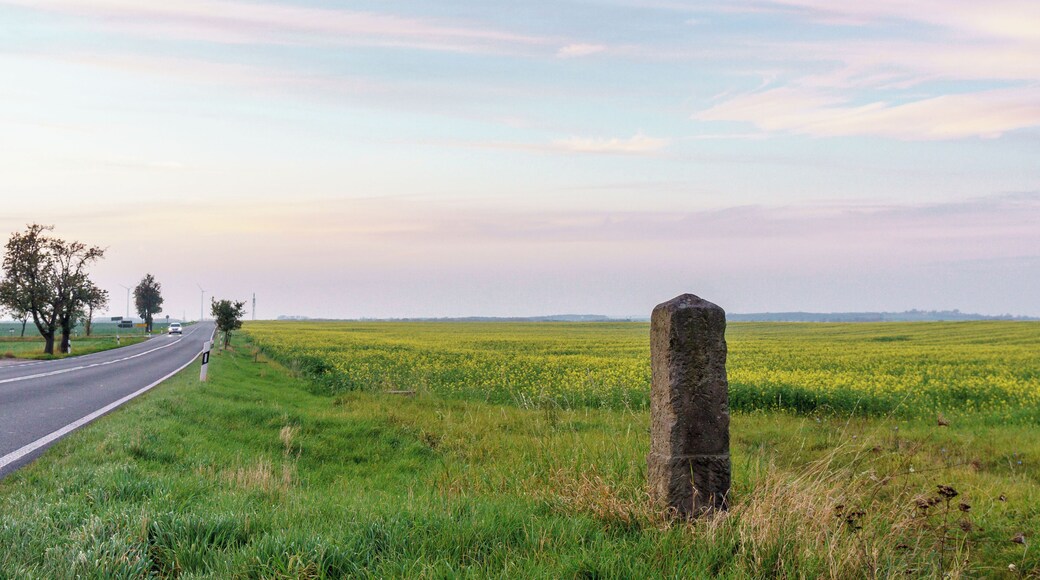 This media shows the protected monument of Saxony with the ID 08958737 KDSa/08958737(other).