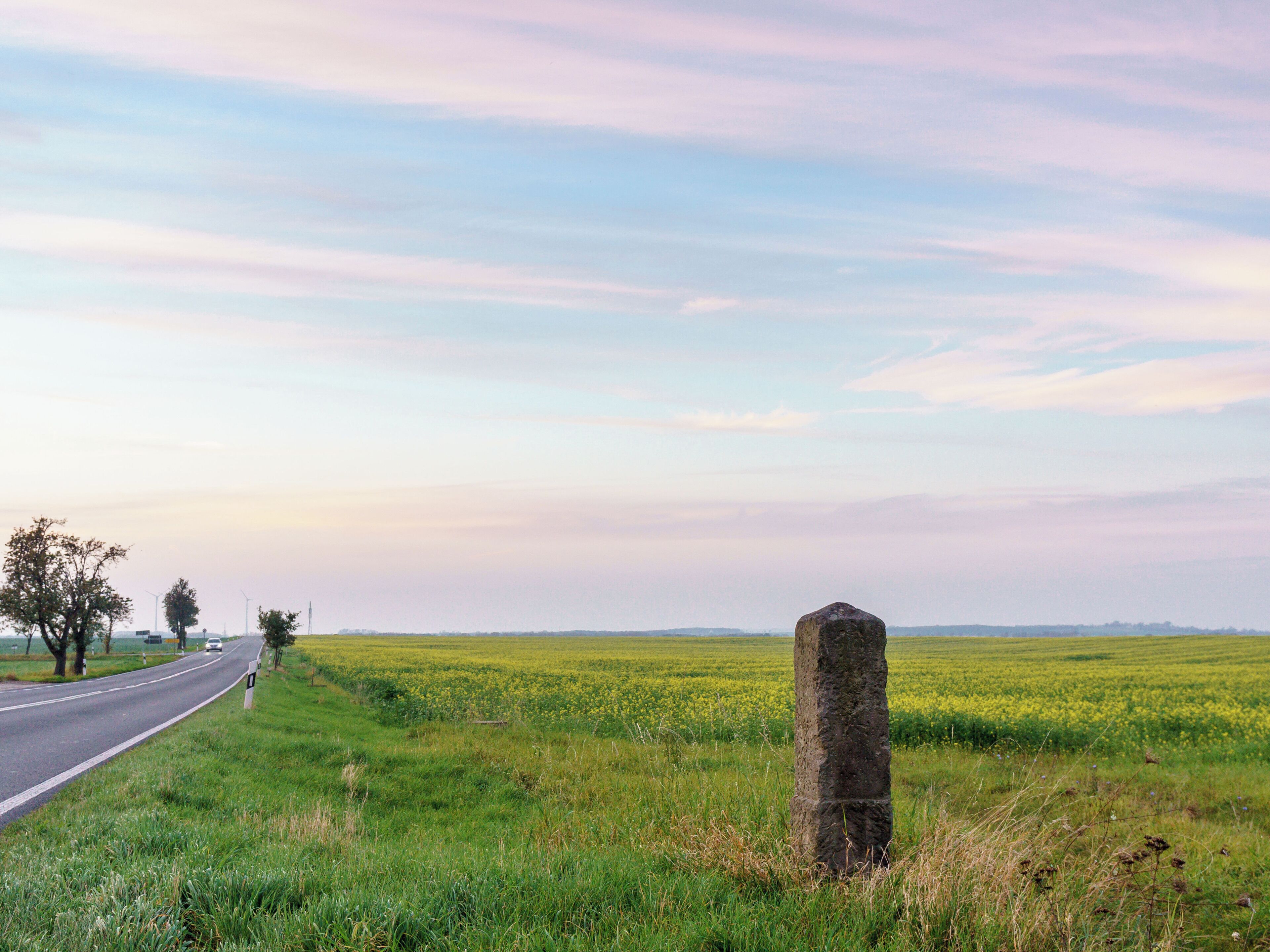 A rural landscape with a road, a field of yellow flowers, and a stone monument.