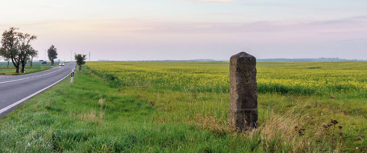 A rural landscape with a road, a field of yellow flowers, and a stone monument.