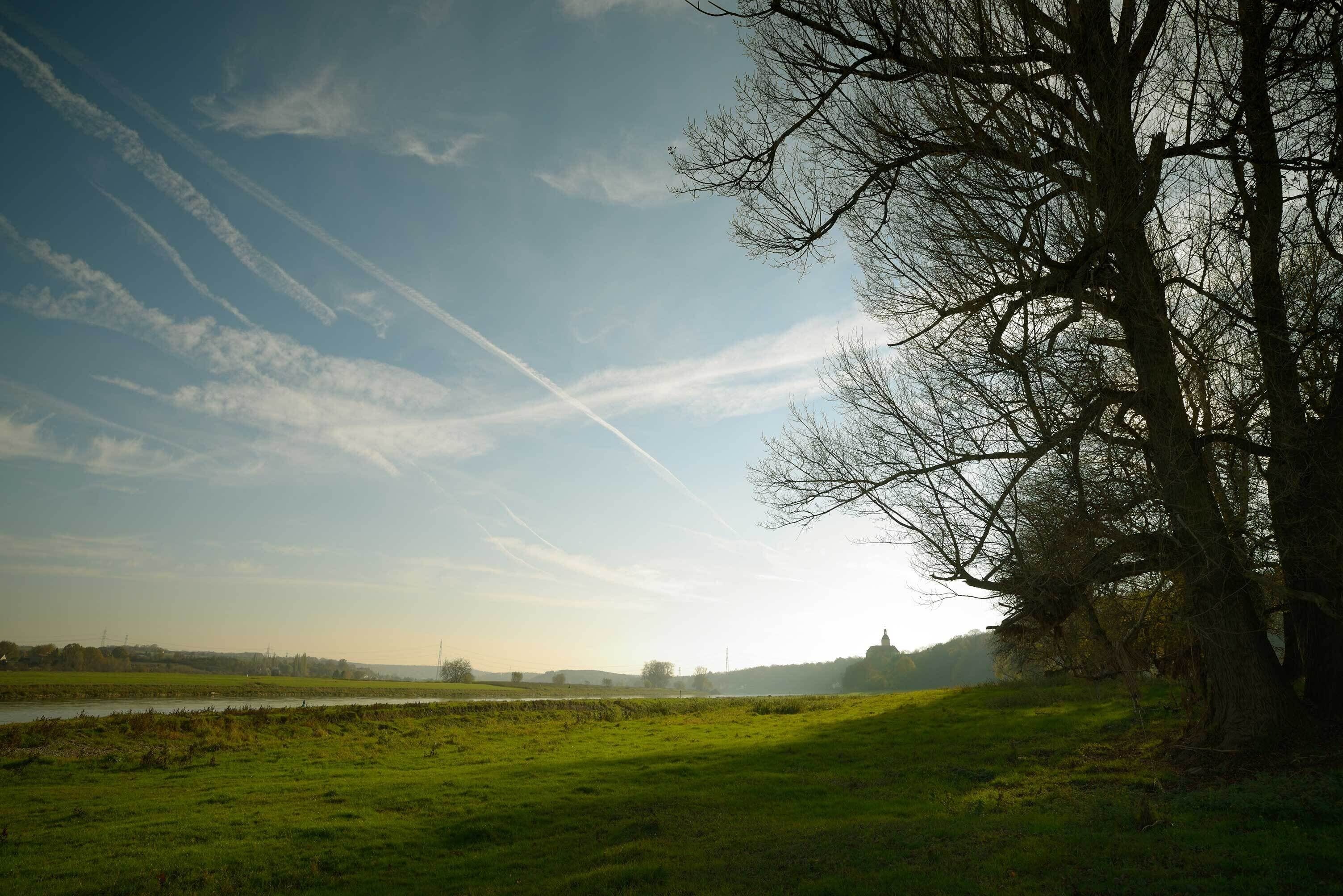 Auf der Landzuge zwischen den Lachen und Elbe. Blick zum Schloss Neu-Hirschstein.