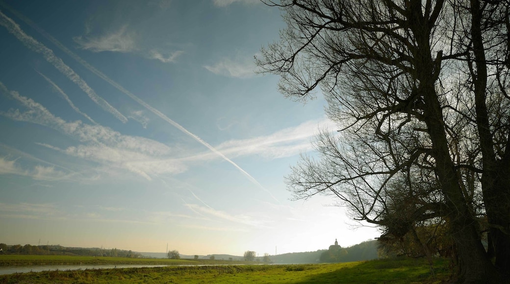 Auf der Landzuge zwischen den Lachen und Elbe. Blick zum Schloss Neu-Hirschstein.
