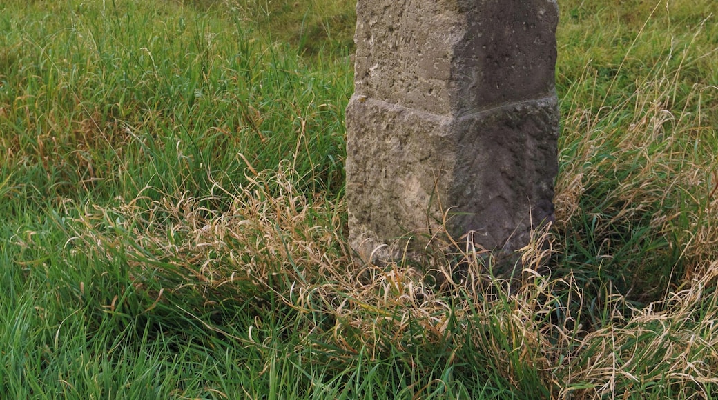 This media shows the protected monument of Saxony with the ID 08958737 KDSa/08958737(other).