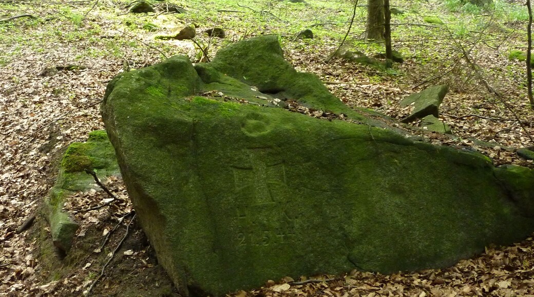 Kleindehsa, Gedenkstein am Hochstein, erinnert an den Absturz eines Militärflugzeuges 1944