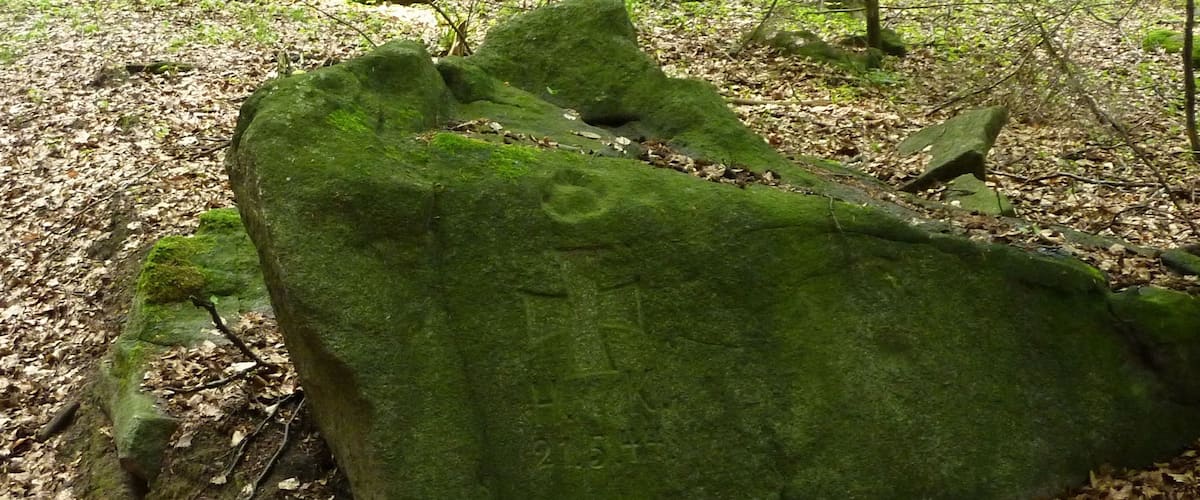 A moss-covered fallen tree in a forest.