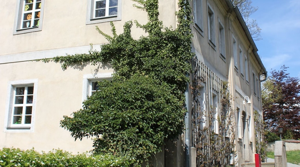 Bart; ewangelska fara.