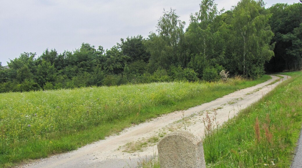 Markstein an der S106 Abzweig S 101 zwischen Guttau und Malschwitz