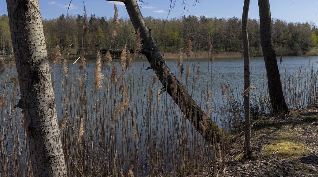 Bioshärenreservat Oberlausitzer Heide- und Teichlandschaft Guttauer Teiche - Guttau - Sachsen