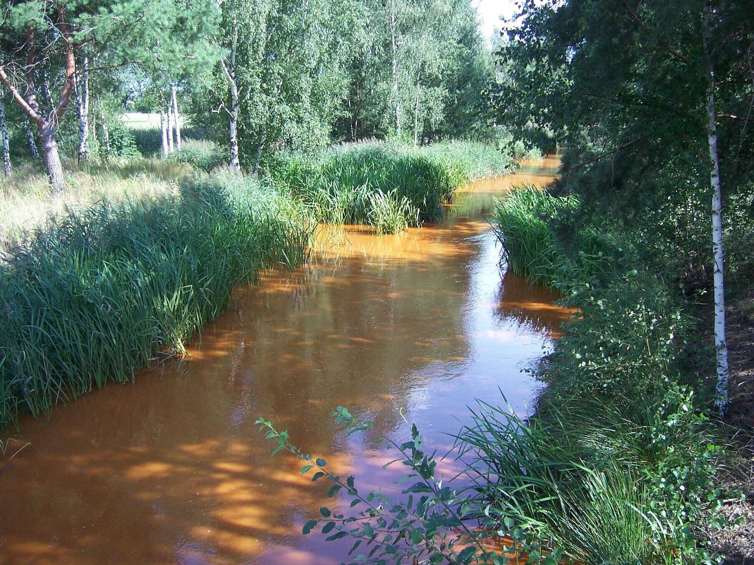 Struga and Breiter Graben near Mulkwitz, Saxony
