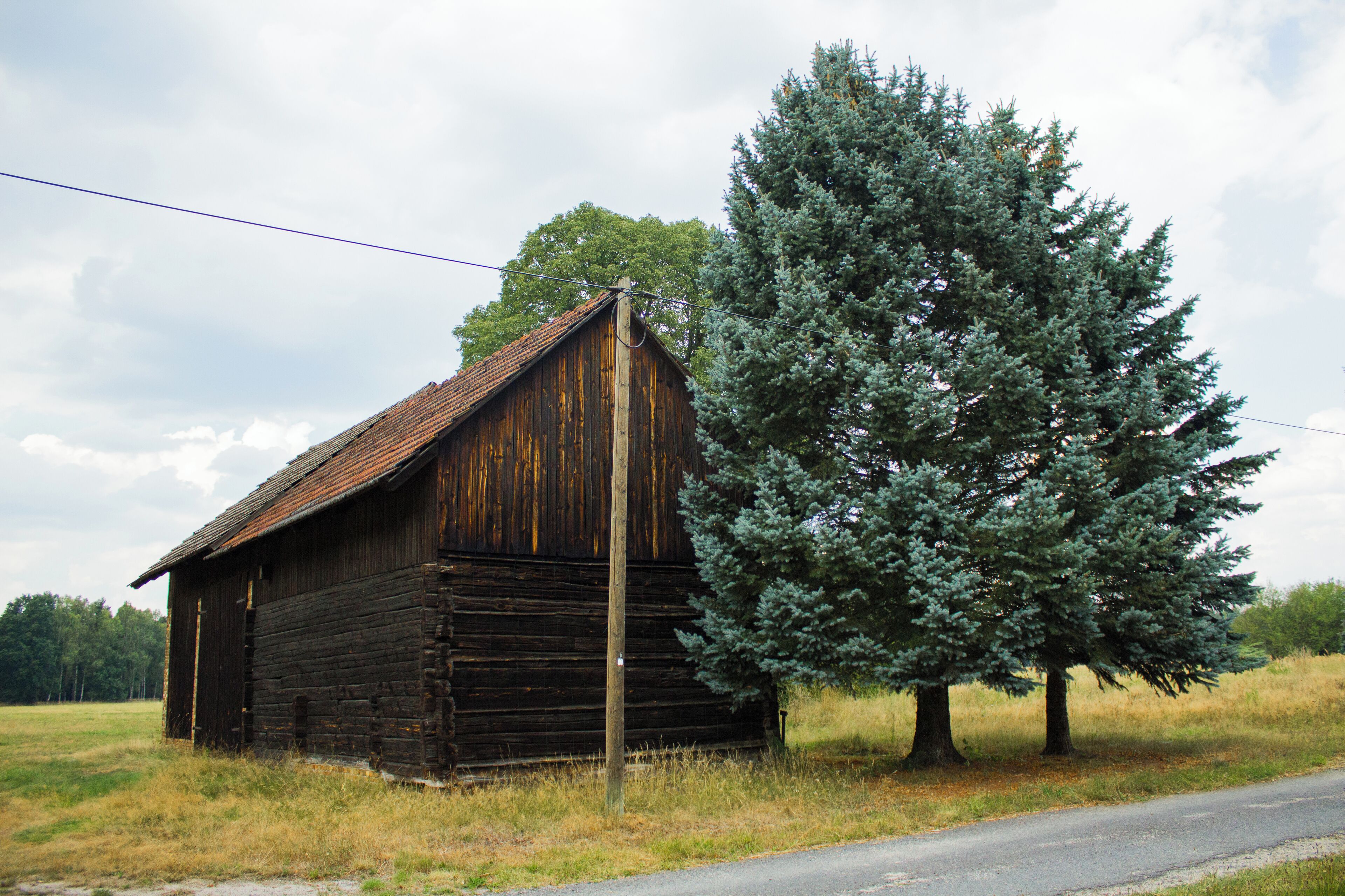 Schrotholzscheune (Schäferstraße, Rohne)