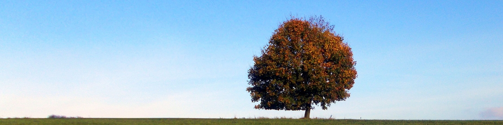 2017-10-24 Rammenau am Tanneberg