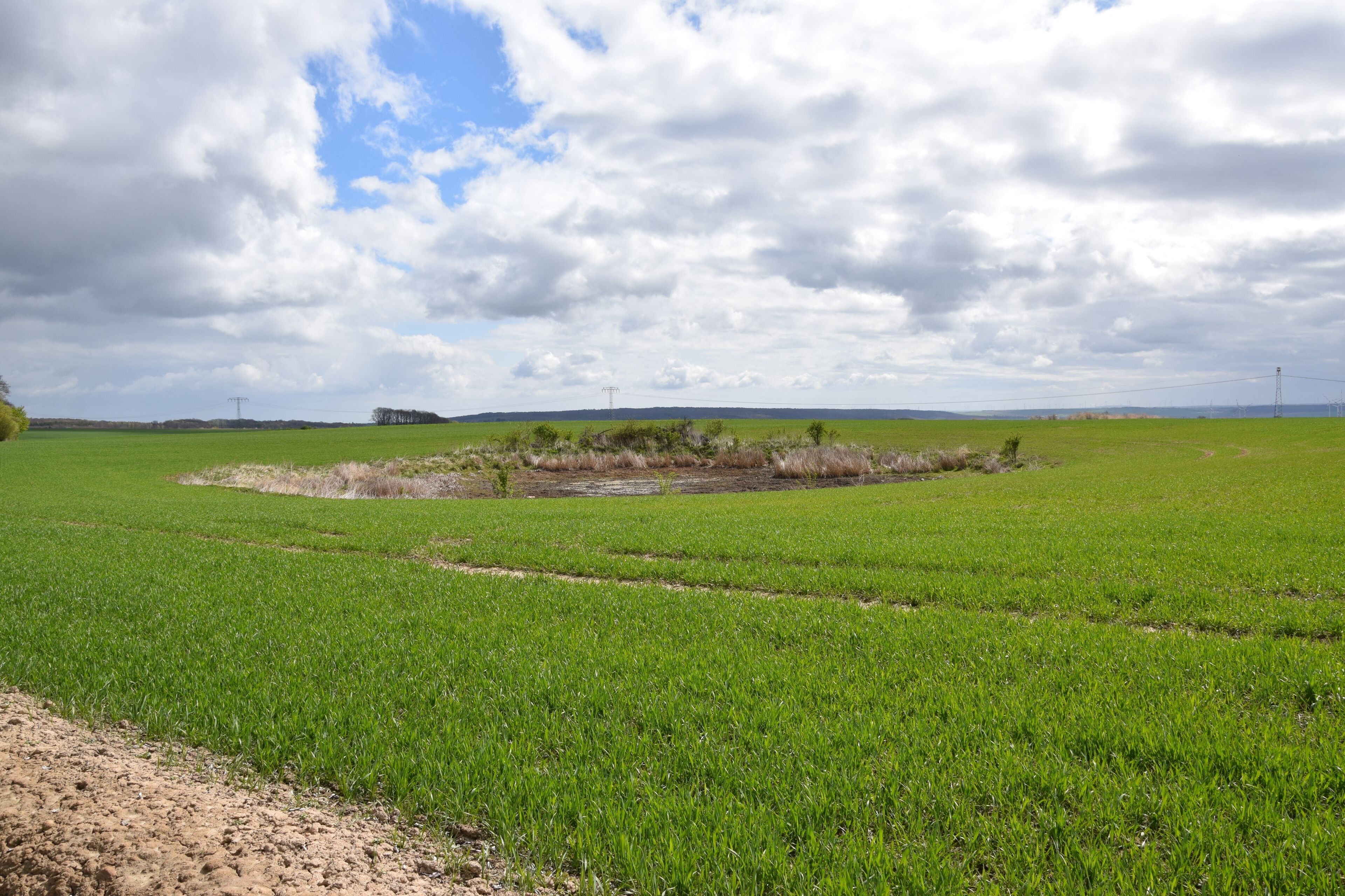Heidenteich bei Holdenstedt Flächennaturdenkmal FND0004SGH