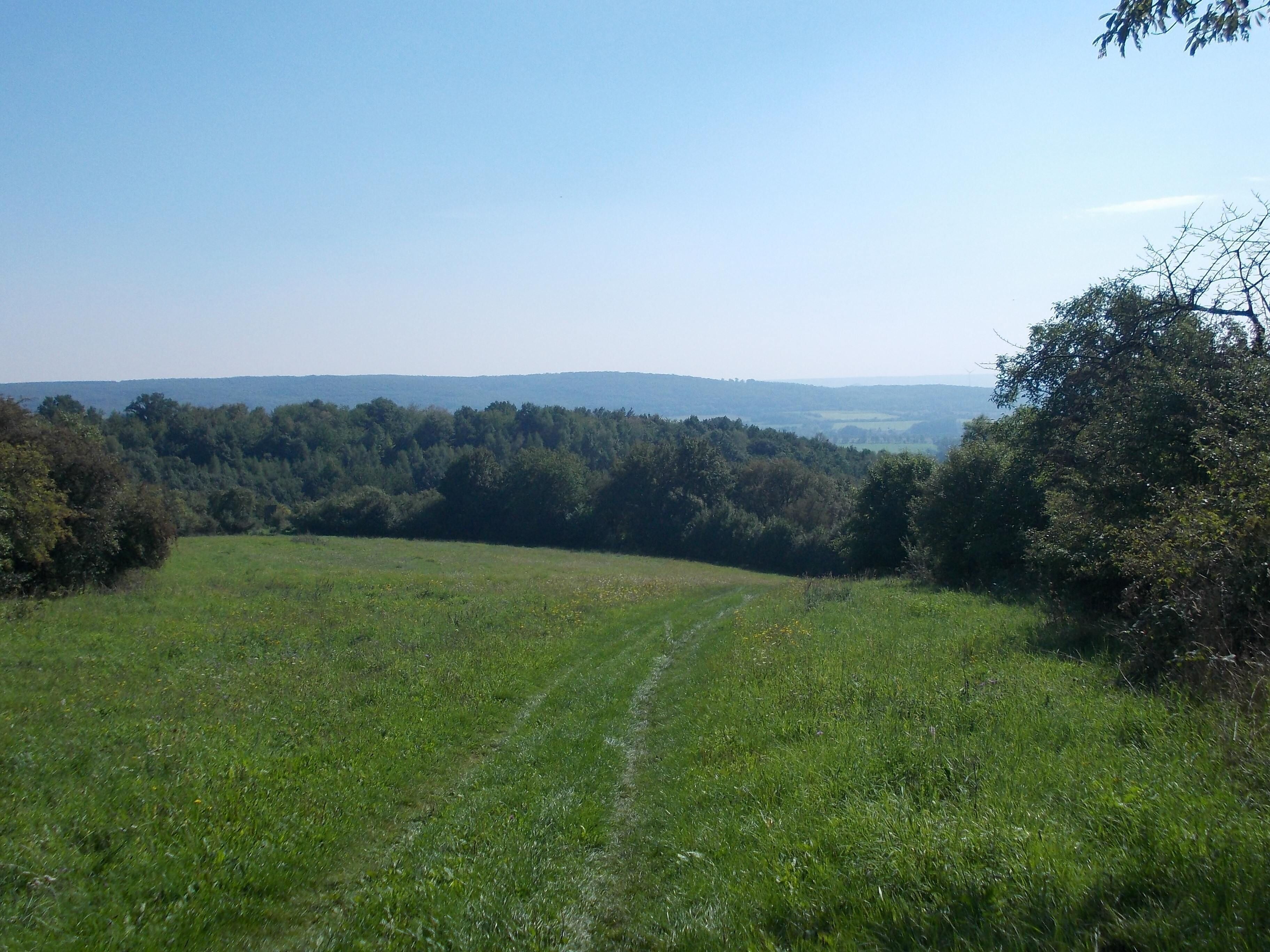 Hiking trail between Pölsfeld (Allstedt) and Riestedt (Sangerhausen, Mansfeld-Südharz district, Saxony-Anhalt)