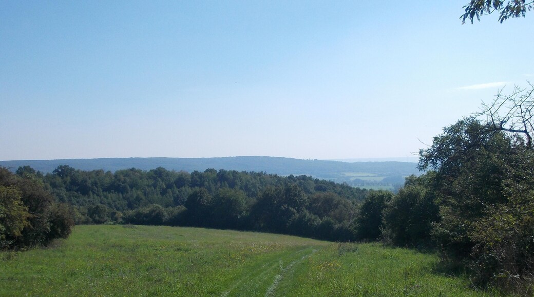 Hiking trail between Pölsfeld (Allstedt) and Riestedt (Sangerhausen, Mansfeld-Südharz district, Saxony-Anhalt)