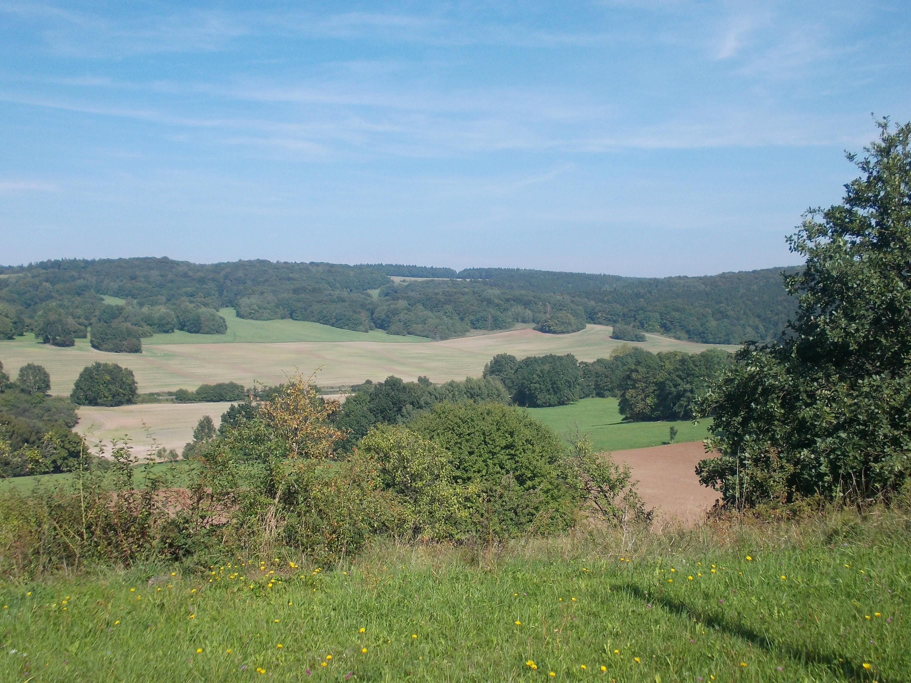 Landscape to the east of Pölsfeld (Allstedt, Mansfeld-Südharz district, Saxony-Anhalt)