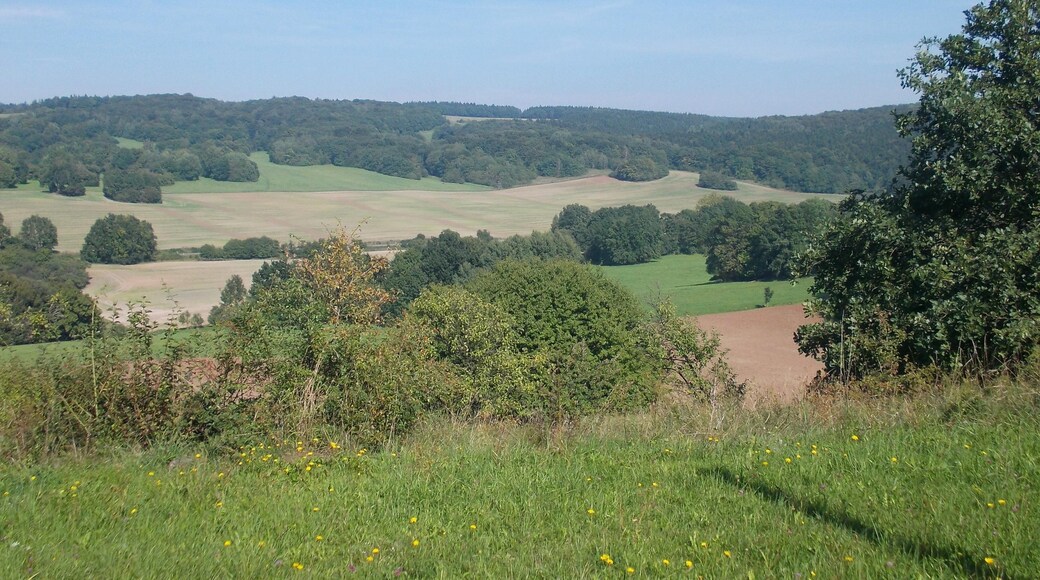 Landscape to the east of Pölsfeld (Allstedt, Mansfeld-Südharz district, Saxony-Anhalt)