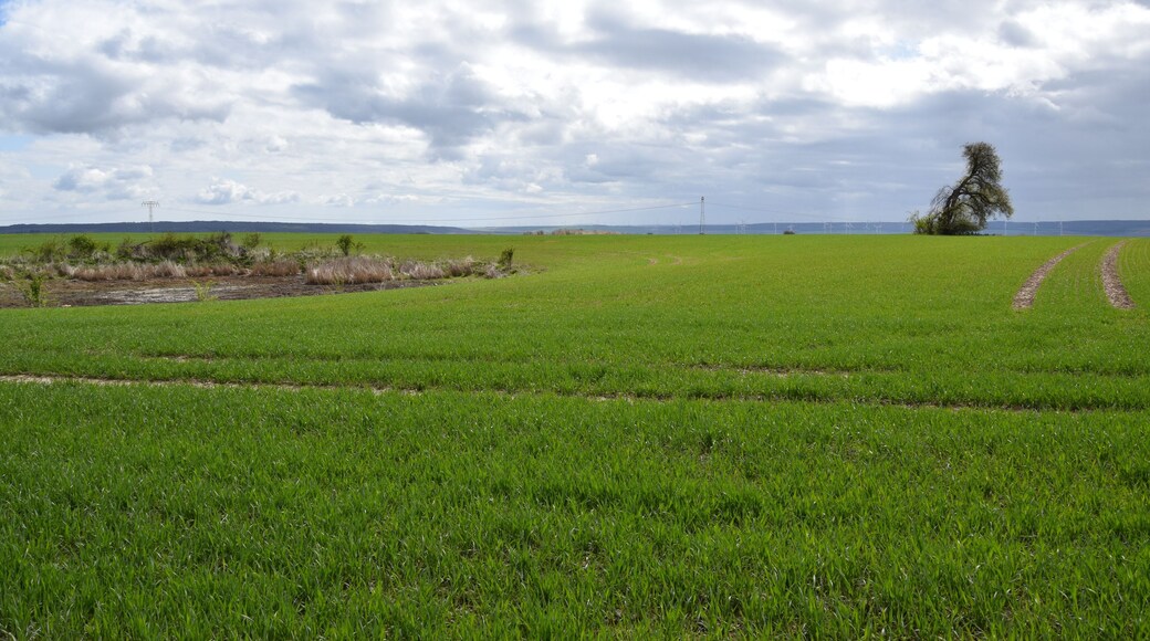 Heidenteich und Heidenteichlinde bei Holdenstedt Flächennaturdenkmal FND0004SGH und Naturdenkmal ND0029SGH
