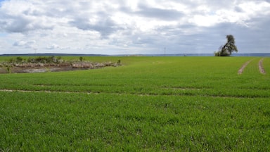 Heidenteich und Heidenteichlinde bei Holdenstedt Flächennaturdenkmal FND0004SGH und Naturdenkmal ND0029SGH