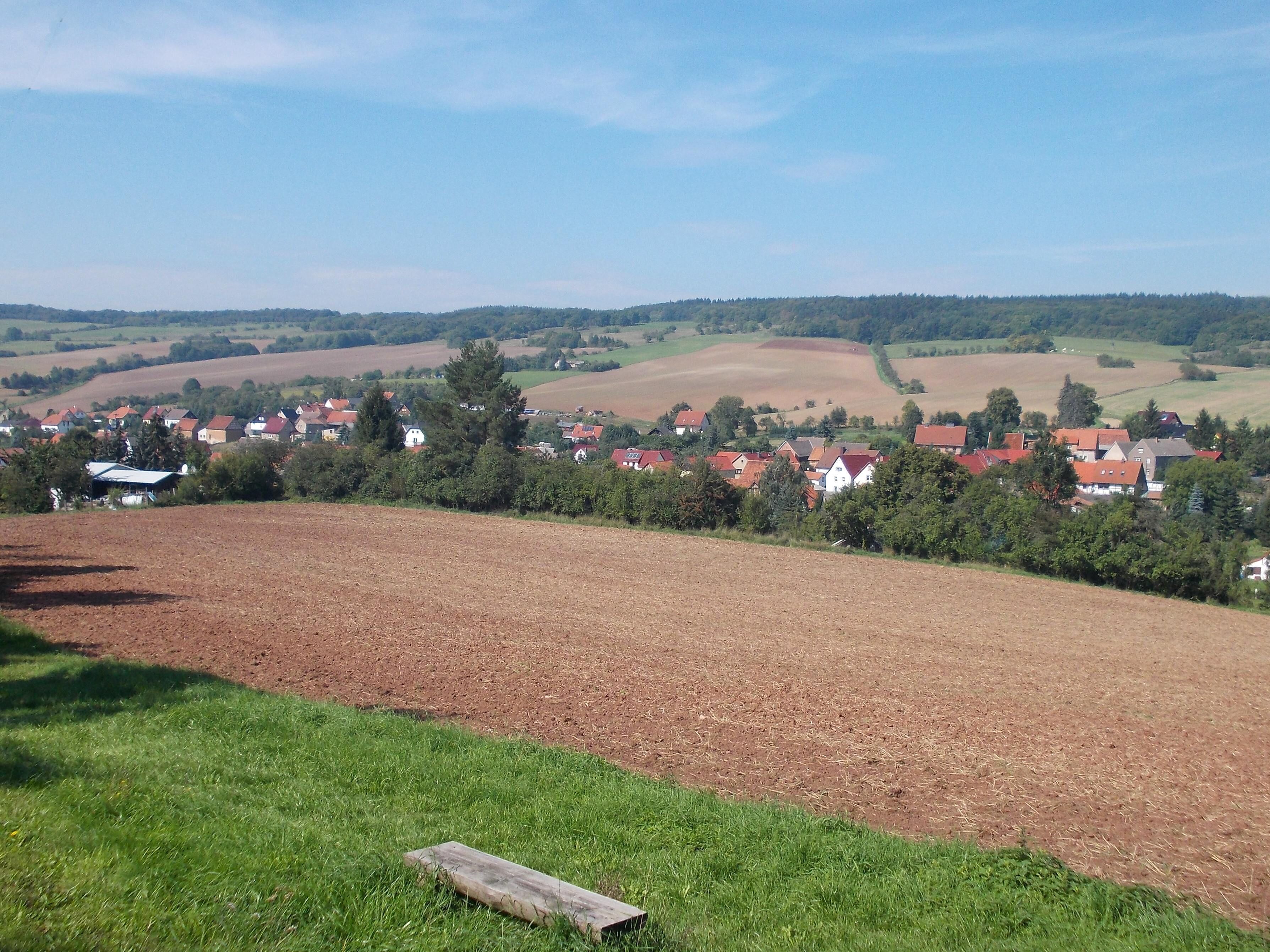 Pölsfeld (Allstedt, Mansfeld-Südharz district, Saxony-Anhalt) from the south-east
