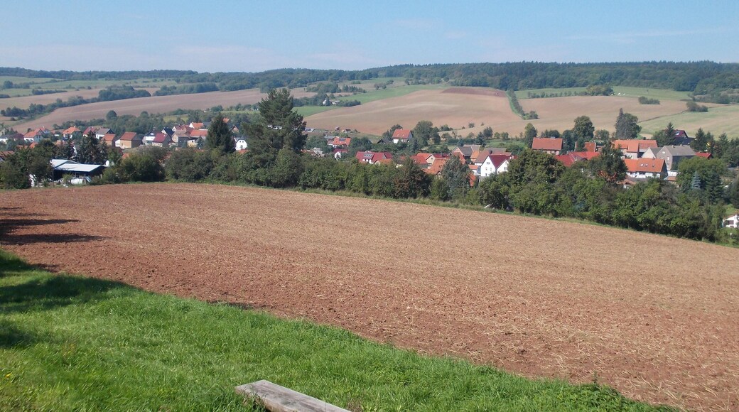Pölsfeld (Allstedt, Mansfeld-Südharz district, Saxony-Anhalt) from the south-east