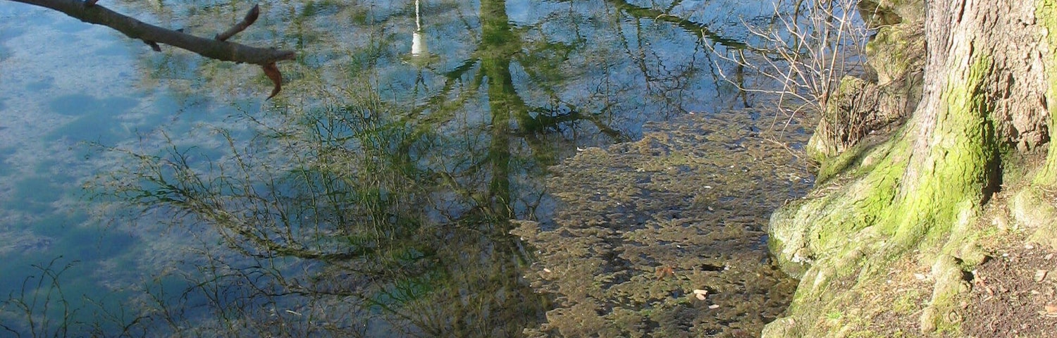This is a photograph of an architectural monument. It is on the list of cultural monuments of Allstedt/OT Einzingen, no. 094 83579