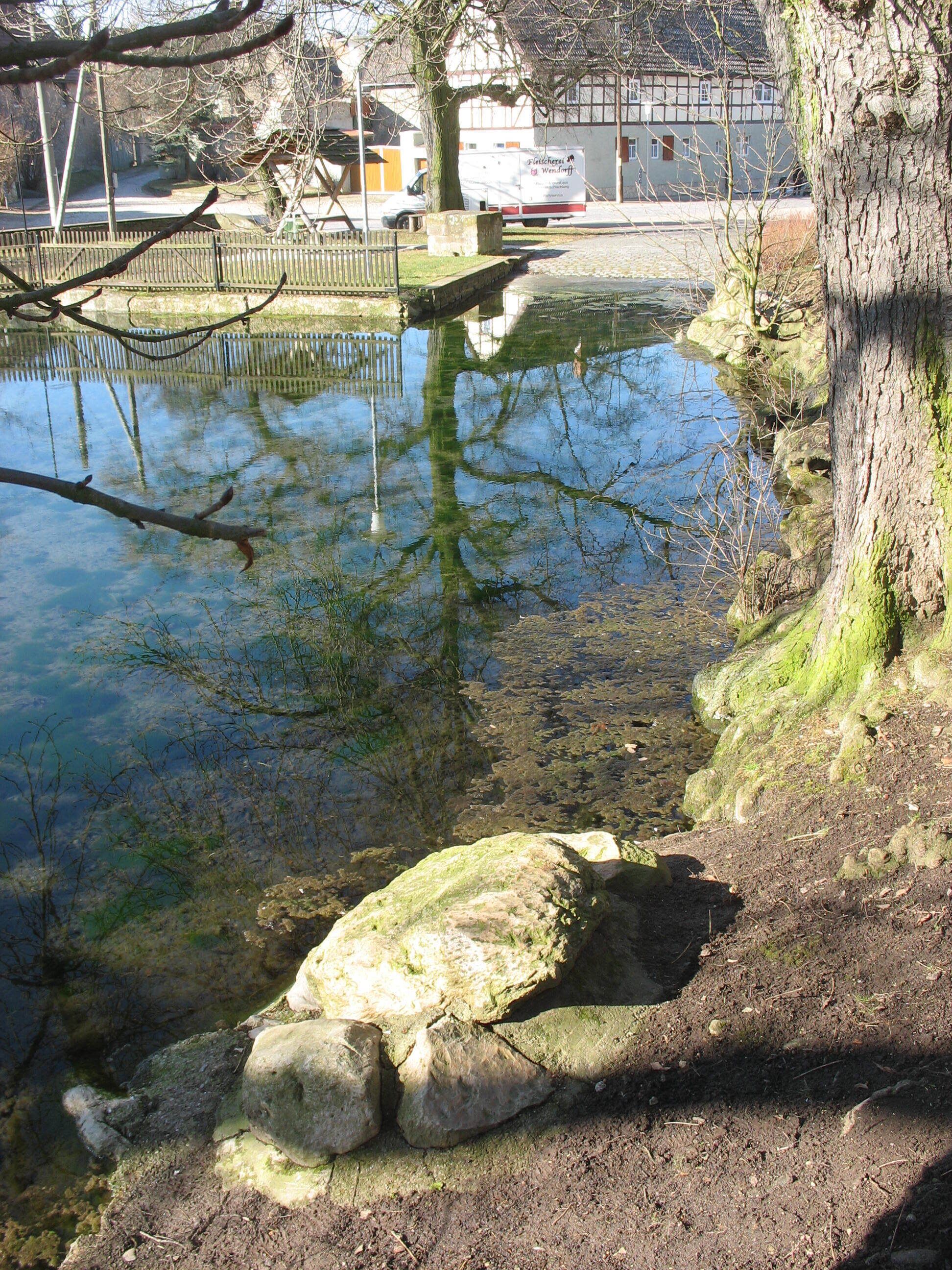 A pond with rocks and a tree trunk.