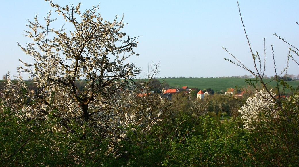 ein Paar Häuser und die Kirche Zabenstedts hinter den Bäumen am Tuffsteinbruch