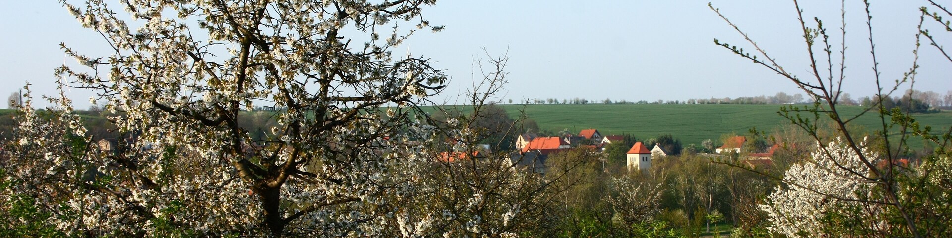 ein Paar HĂ€user und die Kirche Zabenstedts hinter den BĂ€umen am Tuffsteinbruch