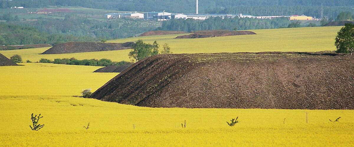 Welfesholz (Gerbstedt), dumps in the fields