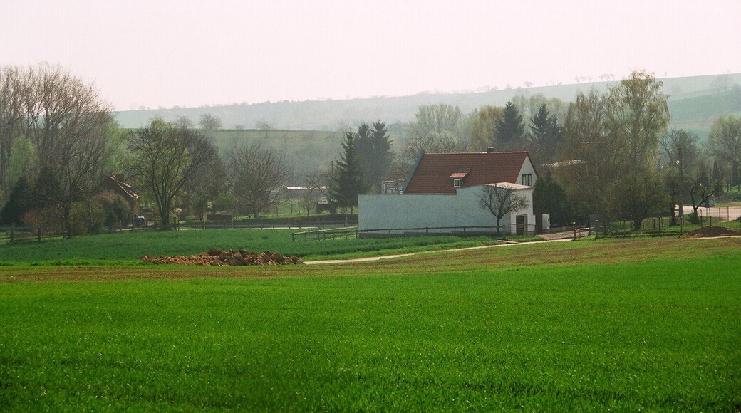 Freist (Gerbstedt), view to the urban district Reidewitz