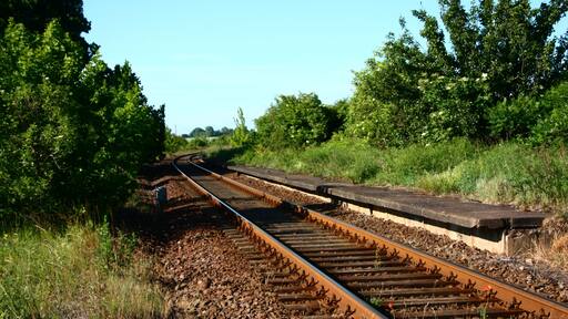 die Bahnsteige vom Bahnhof Siersleben (stillgelegt 1993)