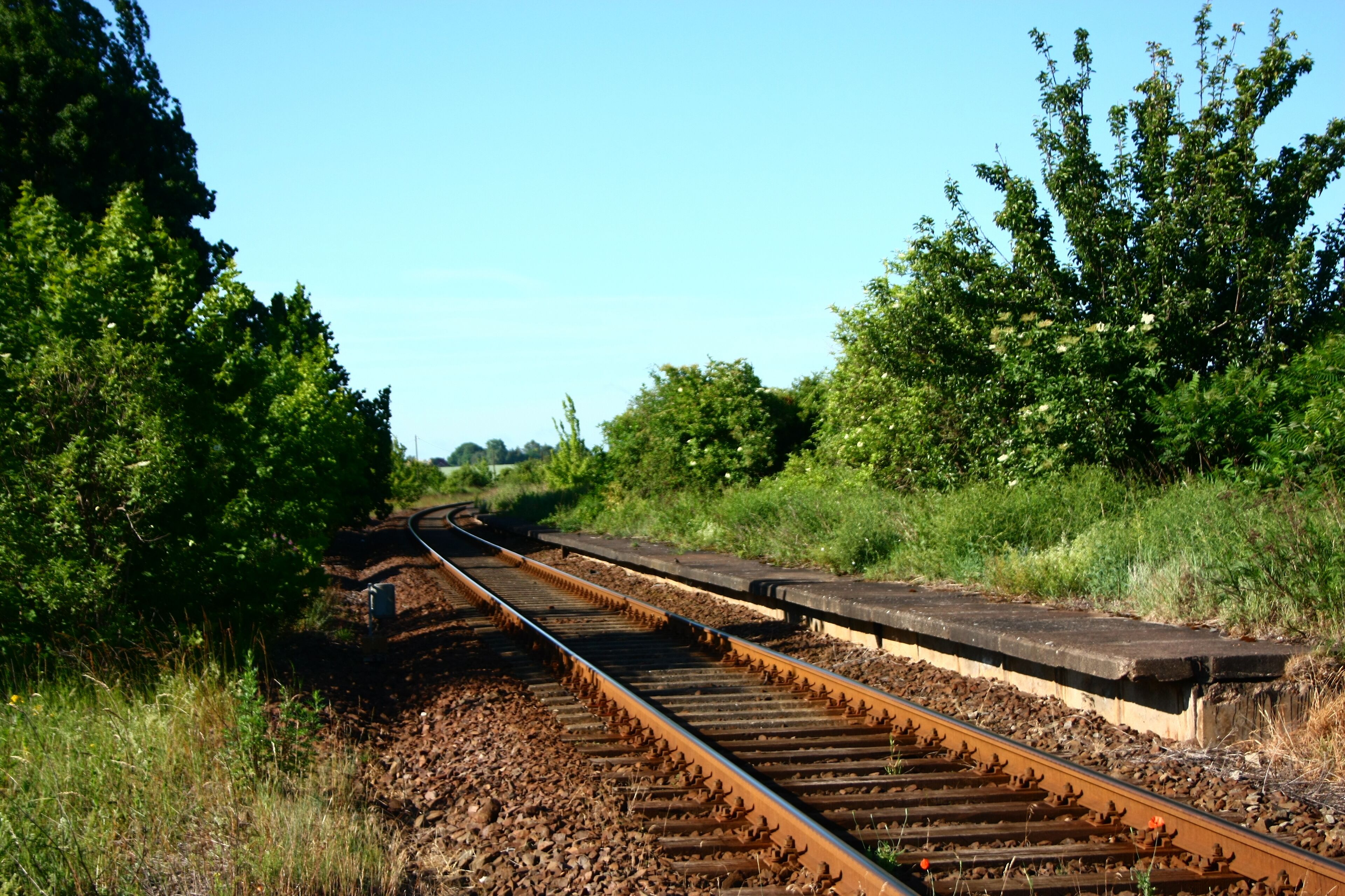 A railway track curving through a green landscape with trees and bushes.