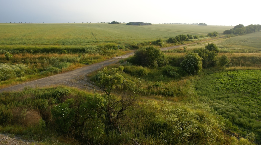 Blick auf den Ort, an dem Nisseldorf gestanden hat. Hier kreuzen die Gleise der Halle-Hettstedter Eisenbahn einen Feldweg
