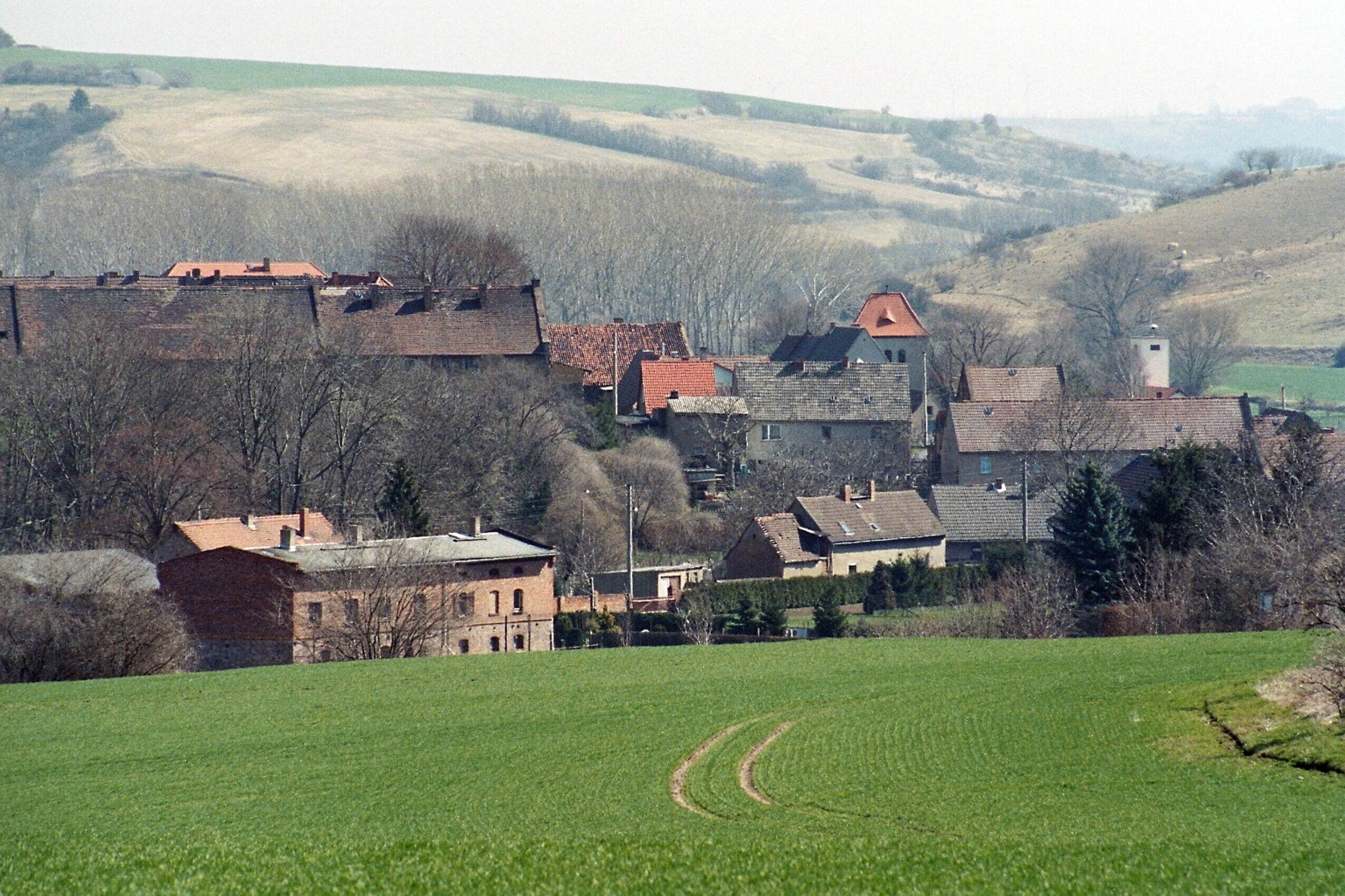 A rural village with stone houses and a green field.