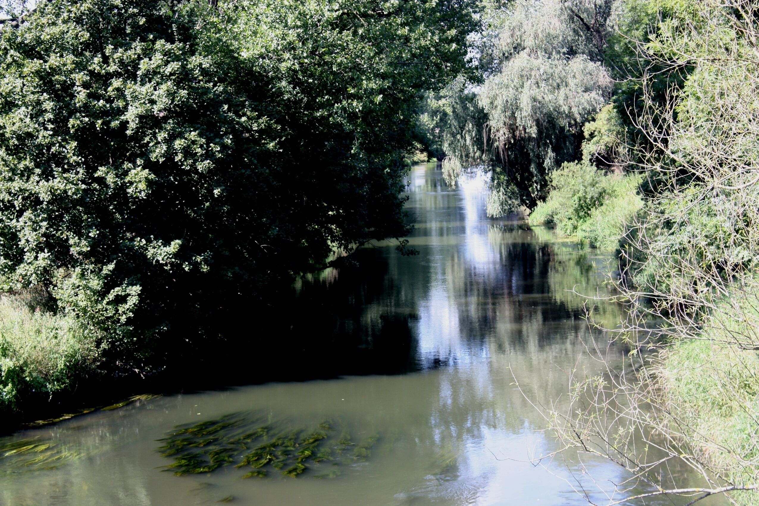 A waterfall in a forested area with dense greenery and a calm river.